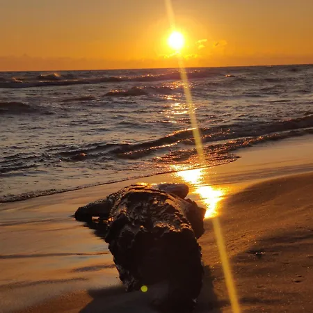 Sun Village * ステグナ